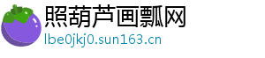 照葫芦画瓢网